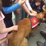 Peljesac edukacija zurne sluzbe 12