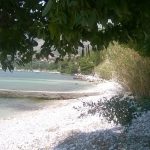 Robinzon Plat 022