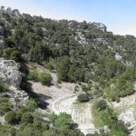 blaca brac6