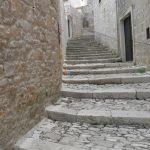 brac 15