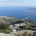 brac 35