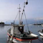 brac 49