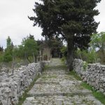 brac 7