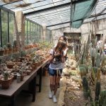 foto getaldic botanicki 1