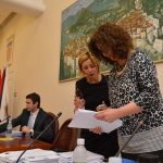 gradsko vijece 300515 7