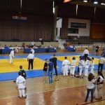 judo zupanijsko2015 14