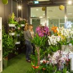 LE SALON Dašak pariške elegancije u srcu Atlant centra 11 le salon 4