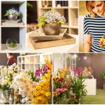 LE SALON Dašak pariške elegancije u srcu Atlant centra 1 le salon001