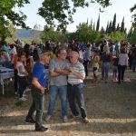 Proljeće u Konavlima