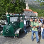 Proljeće u Konavlima
