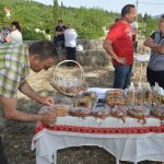 Proljeće u Konavlima