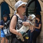 stradun djir 31052015 6