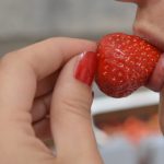 vrgoracke jagode 1