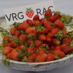 vrgoracke jagode 20