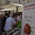 vrgoracke jagode 25