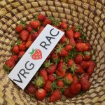 vrgoracke jagode 29