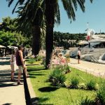 Cavtat djir lipanj 2015 14
