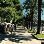 Cavtat djir lipanj 2015 18