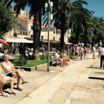 Cavtat djir lipanj 2015 4