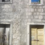 Kuna Peljesac Celestin medovic 18