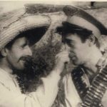 Papagalo Ulicama 04