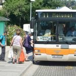 display libertas019