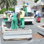 ploce graste004