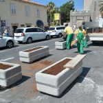 ploce graste007