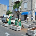 ploce graste010