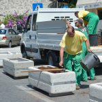 ploce graste012