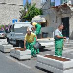 ploce graste013
