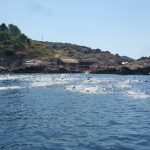 MEMORIJALNI PLIVAČKI MARATON U subotu 'Đuro Kolić' 1 Djuro Kolic 2015 4