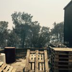Peljesac tragedije vinarija 9