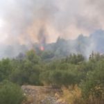 Pozar Peljesac 4