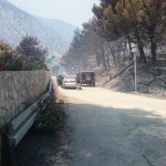 Trstenik Peljesac pozar 6