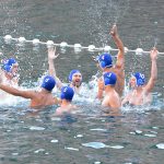 ŽDRIJEB POMAZIO LIBERTAS Prošli Kolorina, Lozica, Elita i Kokoti 40 divlja sulic1 1