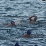 ŽDRIJEB POMAZIO LIBERTAS Prošli Kolorina, Lozica, Elita i Kokoti 29 divlja sulic1 12