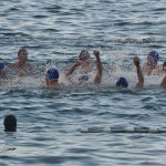 ŽDRIJEB POMAZIO LIBERTAS Prošli Kolorina, Lozica, Elita i Kokoti 24 divlja sulic1 17