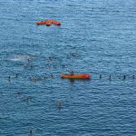 ŽDRIJEB POMAZIO LIBERTAS Prošli Kolorina, Lozica, Elita i Kokoti 34 divlja sulic1 7