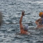 ŽDRIJEB POMAZIO LIBERTAS Prošli Kolorina, Lozica, Elita i Kokoti 14 divlja sulic2 1