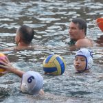 ŽDRIJEB POMAZIO LIBERTAS Prošli Kolorina, Lozica, Elita i Kokoti 6 divlja sulic2 10