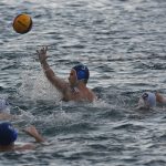 ŽDRIJEB POMAZIO LIBERTAS Prošli Kolorina, Lozica, Elita i Kokoti 11 divlja sulic2 4