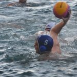 ŽDRIJEB POMAZIO LIBERTAS Prošli Kolorina, Lozica, Elita i Kokoti 1 divlja sulic2 5