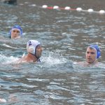 ŽDRIJEB POMAZIO LIBERTAS Prošli Kolorina, Lozica, Elita i Kokoti 9 divlja sulic2 7