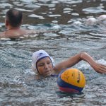 ŽDRIJEB POMAZIO LIBERTAS Prošli Kolorina, Lozica, Elita i Kokoti 7 divlja sulic2 9