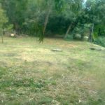 lokrum sjeca botanicki