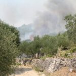 peljesac pozar 230715 31