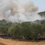 peljesac pozar 230715 71