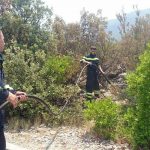 peljesac pozar brijesta 3