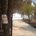 peljesac trstenik pozar347